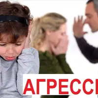 Вебинары об агрессии
