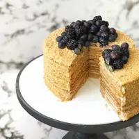 Наполеон и Медовик