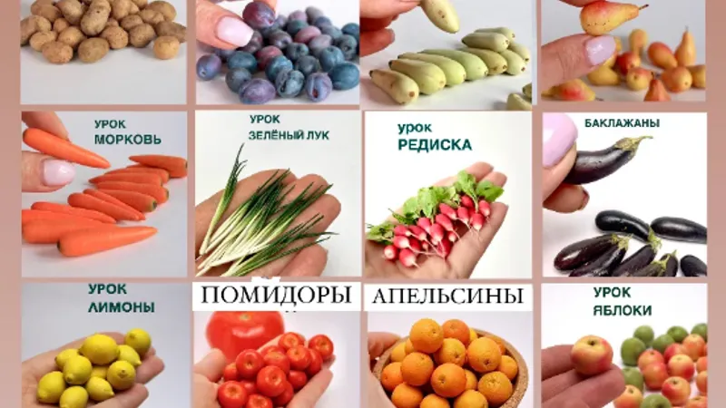 Школа лепки овощей с нуля. Базовый курс
