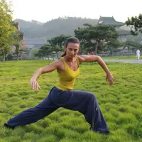 Цигун: игры пяти зверей