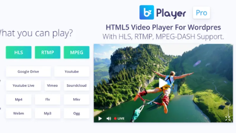 bzplayer Pro - Live Streaming Player WordPress Plugin - видео плеер с возможностью стриминга