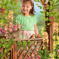 Коллаж Виноградная беседка