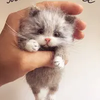 Ручной котенок и Новогодний мышонок