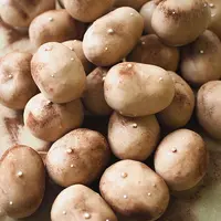 Новая картошка