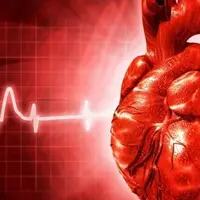 Лечим сердце и сосуды