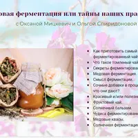 Ферментация медом