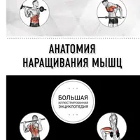 Анатомия наращивания мышц