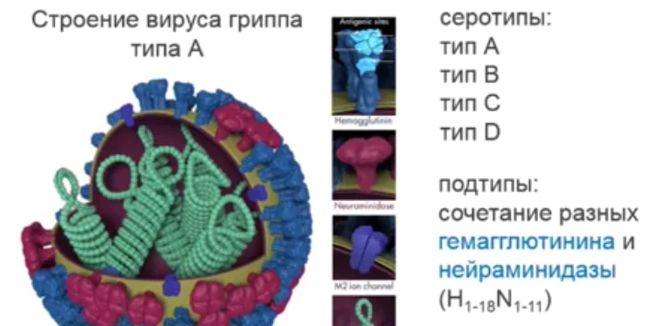 Обложка курса