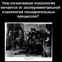 Что такое когнитивная психология, откуда она взялась и куда идёт