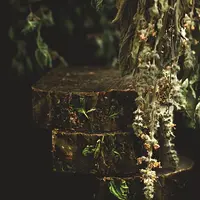 Травяное мыло с нуля