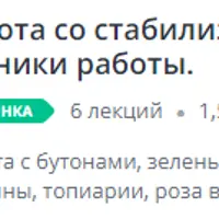 Работа со стабилизированными растениями. Техники работы