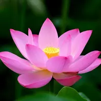 8 недель женской осознанности