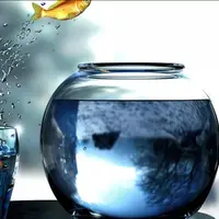 Полезные неудачи и трудности