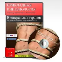 Висцеральная терапия органов грудной клетки и органов малого таза (матка, простата)