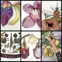 Ботаническая акварель