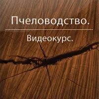 Пчеловодство