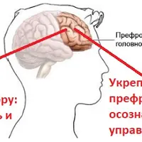 Стресс. Осознанная стрессоустойчивость