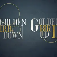 Набор из 50 шрифтов и 322 логотипов