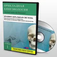 Кинезиологическая Остеопрактика
