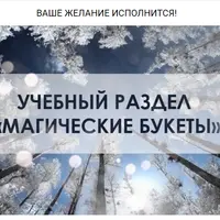 Магический букет "Энергия зимы"