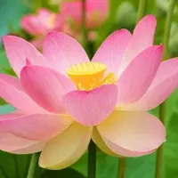 Секреты долголетия