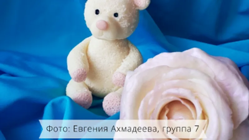 Миниатюра 5