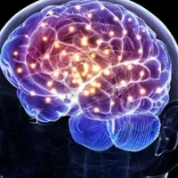 Коррекция мозга