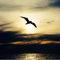 Новая энергия в народном хозяйстве 11