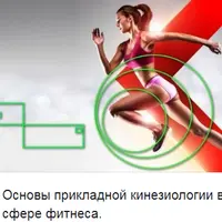 Основы прикладной кинезиологии в сфере фитнеса