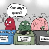 Висцеральная терапия 3. Органы грудной клетки и почки