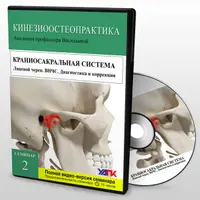 Краниосакральная система. Лицевой череп. ВНЧС. Диагностика и коррекция