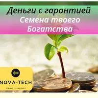 Деньги с гарантией. Семена твоего Богатства