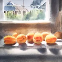 Акварельный натюрморт с абрикосами