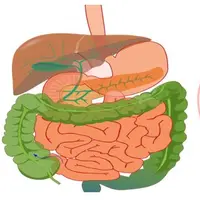 Профилактика заболеваний и восстановление здоровья при нарушениях в органах желудочно-кишечного тракта