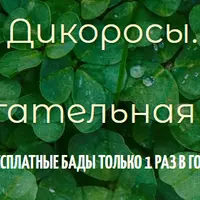 Дикоросы. ЗОЖигательная весна