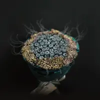 Линейка букетов КОСМОС