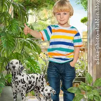 Детский летний шаблон в PSD "Далматинцы на веранде"