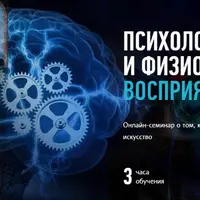 Психология и физиология восприятия искусства