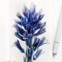 Ботаническая иллюстрация для начинающих