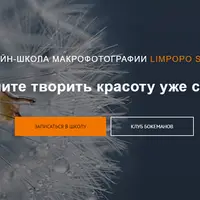 Макрофотография