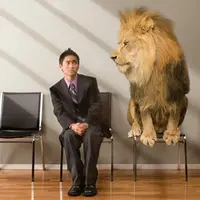 Биоэнергетика профессионального переговорщика