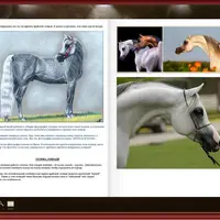 Фрея Дух Леса