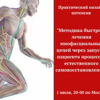 Методика быстрого лечения миофасциальных цепей через запуск процессов естественного самовосстановления