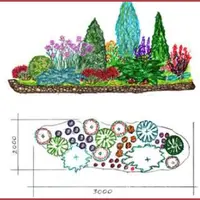 Секреты живых изгородей и составление растительных композиций