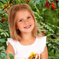 Цифровой фон "Рябина красная"