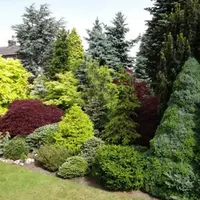 Цветные растения в дизайне сада