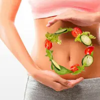 Здоровое пищеварение: желчный пузырь и печень