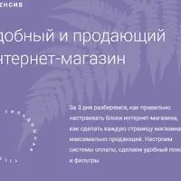 Удобный и продающий интернет-магазин