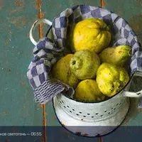 Основы графики: объем и светотень