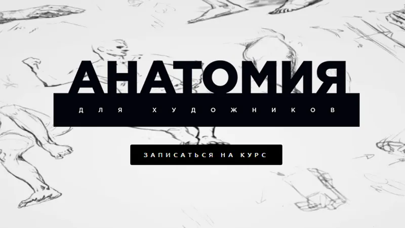 Анатомия для Художников